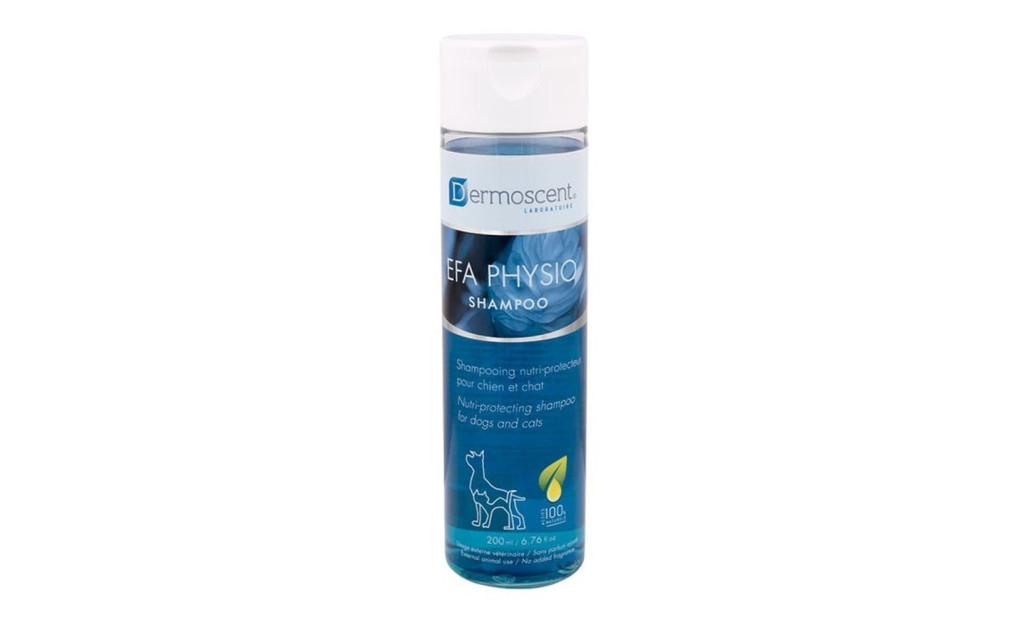 ΣΑΜΠΟΥΑΝ DERMOSCENT EFA PHYSIO 200ML