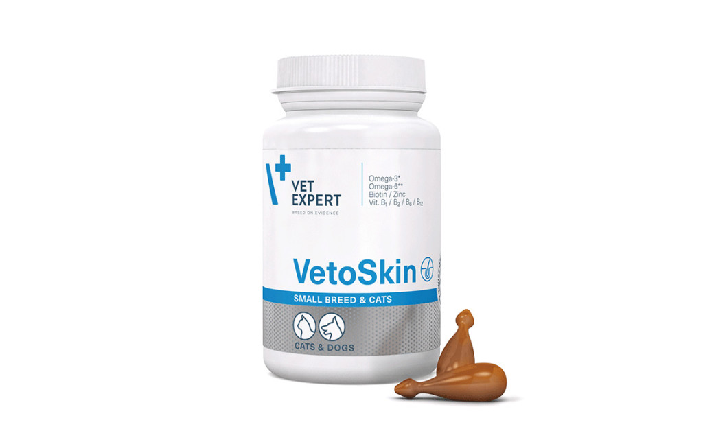 ΣΥΜΠΛΗΡΩΜΑ ΔΙΑΤΡΟΦΗΣ VET EXPERT VETOSKIN SMALL BREED 60 ΚΑΨΟΥΛΕΣ