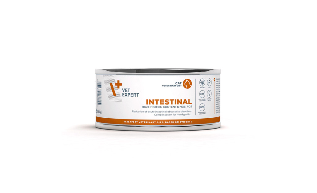 ΚΟΝΣΕΡΒΑ ΓΑΤΑΣ VET EXPERT  INTESTINAL 100GR